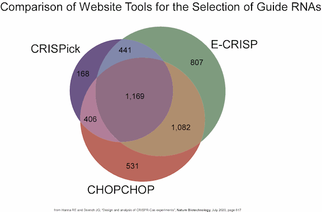 CRISPR Analysis - 2020