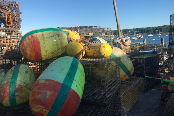 Acadia Lobster Trap