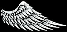 angel wing