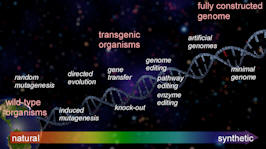 synthetic biology figure for ACS primer